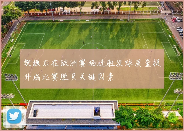 樊振东在欧洲赛场连胜发球质量提升成比赛胜负关键因素